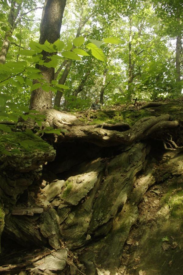 Gite Au Pied Des Appalaches Sainte-Sophie-D'Halifax Εξωτερικό φωτογραφία